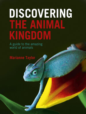 cover image of Discovering the Animal Kingdom: a guide to the amazing world of animals